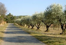 Le Pech D'andre
