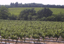 Domaine la Parra
