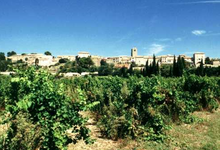 Domaine Les Deux Terres