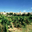 Domaine Les Deux Terres