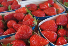 La 38ème édition des fraises et des saveurs du Terroir à Carros 