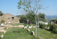 U Cuventu di Paomia