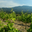 domaine du grand Jacquet