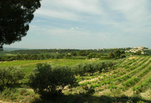 domaine du grand Jacquet