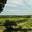 domaine du grand Jacquet