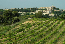 domaine du grand Jacquet