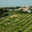 domaine du grand Jacquet