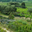 domaine du grand Jacquet
