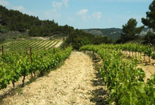 domaine du grand Jacquet