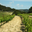 domaine du grand Jacquet