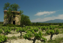 domaine du grand Jacquet