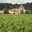 Chateau Cheret Pitres