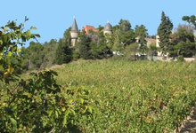 Château Landure