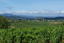 Château Puy
