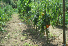 Ferme de la Treille