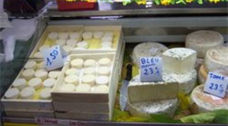 fromages de chèvre