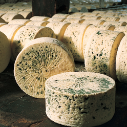 Bleu des Causses (fromage à pâte persillée) AOC - AOP
