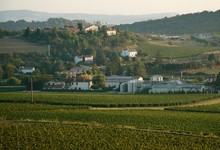 Domaine Astruc