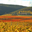 Domaine de Fonsainte