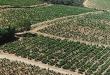 Domaine de Fonsainte