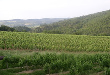 Domaine de Fourn