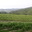 Domaine de Fourn