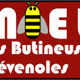 Les butineuses cévenoles