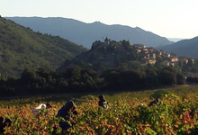 Domaine du grand arc
