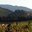 Domaine du grand arc