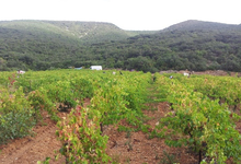 Domaine du grand arc