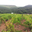 Domaine du grand arc