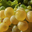 Domaine du grand arc