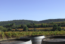 Domaine La Prade Mari