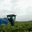 Domaine Pujol-Izard