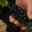 Domaine Pujol-Izard