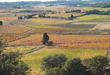 Domaine Pujol-Izard