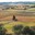 Domaine Pujol-Izard
