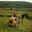 Domaine Sainte Juste