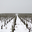 Domaine Seguinot-Bordet