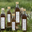 Sirop de verveine