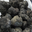 Truffes de la Montagne Noire.