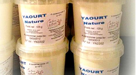 yaourts nature et aromatisés 