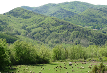 Le Moulin du Trou