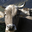 Ferme de Laprade