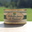 Rillettes de canard 130 grs