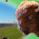 La Ferme Aux Bisons