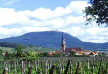 Fête du Gewurztraminer