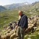 Fête du Mouton, Saint Jean D'Arves