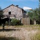L'olivette, l'or des Maux