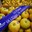 Pomme